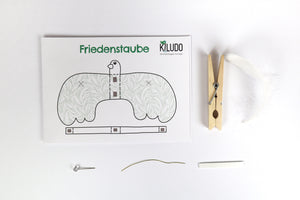 MINT-Abo «Tüfteln und Konstruieren»