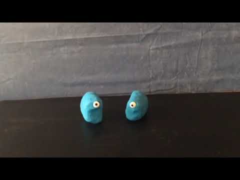 Bastelbox Stop-Motion Animationsfilm